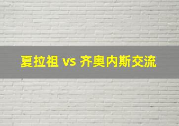 夏拉祖 vs 齐奥内斯交流